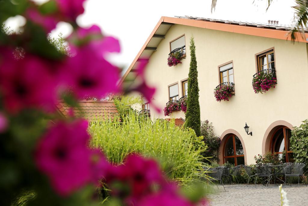 Villa Hochdoerffer Gaestehaus Ландау  Экстерьер фото