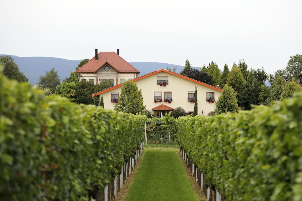 Villa Hochdoerffer Gaestehaus Ландау  Экстерьер фото